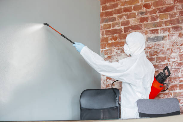 Best Air Quality Testing for Mold Spores  in Robertsville, NJ
