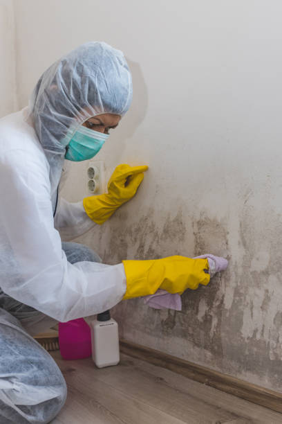 Best Mold-Related Health Consultation  in Robertsville, NJ