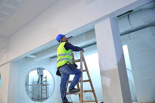 Environmental Consulting for Mold Prevention in Robertsville, NJ