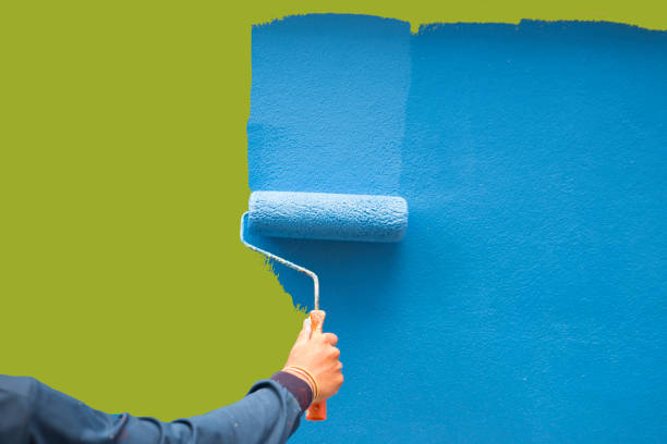 Best Black Mold Removal  in Robertsville, NJ