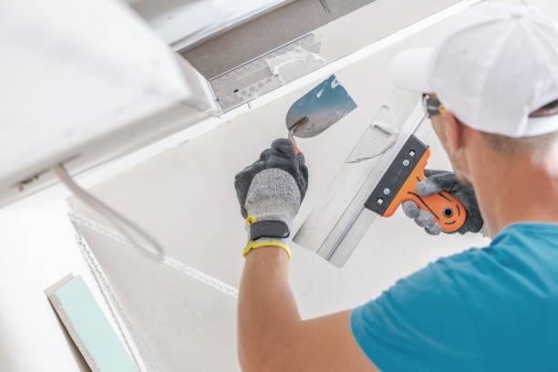 Best Biohazard Mold Removal  in Robertsville, NJ